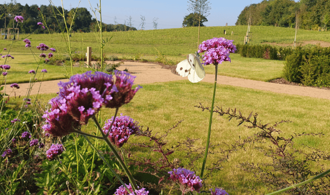 Priscilla Bacon Hospice Gardens